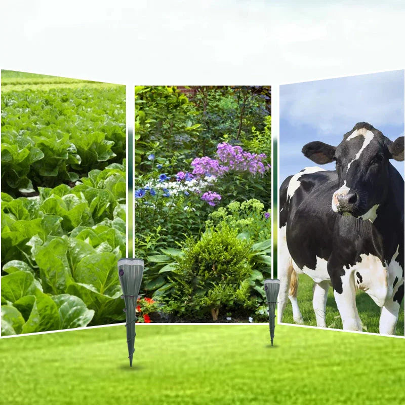 The stake in use at the edge of a vegetable bed, a flower border and open pasture